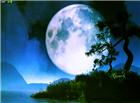 大月亮高清动态图片