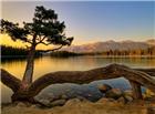 平静的湖泊黄昏美景图片