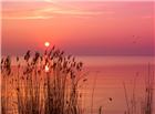 大海夕阳唯美图片