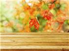 秋天枫叶与木纹桌面图片