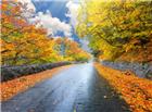 秋季风景小路高清图片