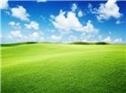 绿色大草原风景图片