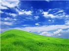 草地天空风景图片