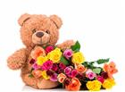 泰迪熊玩偶与玫瑰花图片