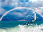 大海帆船彩虹海豚图片