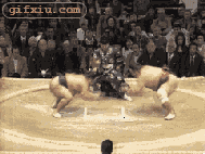 日本摔跤截图 科幻特效动画版(点击浏览下一张趣图)