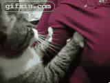 好色的猫咪 抚摸少妇mm 美女动态图片(点击浏览下一张趣图)