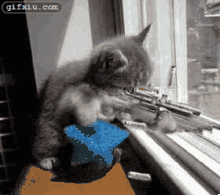 小猫打机枪 小猫搞笑动态图片(点击浏览下一张趣图)
