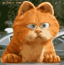 咖喱猫搞笑动态图(点击浏览下一张趣图)