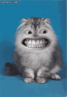 人脸恶搞猫咪动态图片(点击浏览下一张趣图)