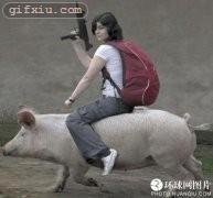 骑着猪的美女 搞笑动态图片贴吧(点击浏览下一张趣图)