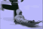 滑雪小孩差点掉下去 短片爆笑gifxiu截图(点击浏览下一张趣图)