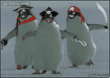 加勒比海盗版企鹅 企鹅搞笑动态图片(点击浏览下一张趣图)