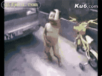 裸体男子当街跳艳舞 搞笑的小孩图片(点击浏览下一张趣图)