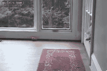 狗狗爬窗被困 搞笑动态图片 (点击浏览下一张趣图)