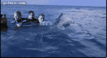 超级惊险大白鲨从身边游过 雷人恐怖图片(点击浏览下一张趣图)