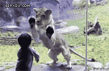 搞笑的母狮和小孩子玩耍(点击浏览下一张趣图)