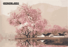 湖边盛开的樱花树(点击浏览下一张趣图)