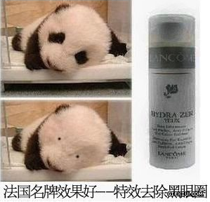 法国品牌效果好 特效去黑眼圈 熊猫做代言(点击浏览下一张趣图)