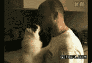 强吻人的小猫(点击浏览下一张趣图)