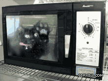 可怜的小猫被放到微波炉里面(点击浏览下一张趣图)