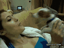 搞笑的小狗想亲吻自己的美女主人(点击浏览下一张趣图)