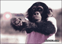 黑猩猩打手枪(点击浏览下一张趣图)