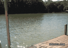 裸体男子湖边跳水屁股喷火(点击浏览下一张趣图)
