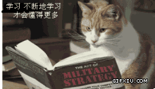 小猫翻书看书：学习只有 不断的学习才能懂得更多(点击浏览下一张趣图)