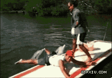 两只邪恶的海豚从水里爬出来把管理员给上了(点击浏览下一张趣图)