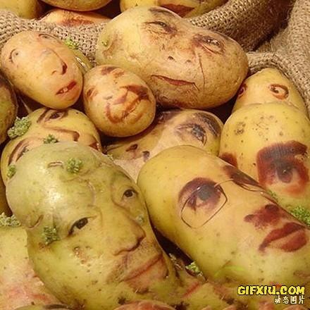 雷死人了：买了一袋土豆打开一看，我彻底震惊了！！！.jpg(点击浏览下一张趣图)