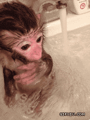 搞笑的小狒狒在浴缸洗澡：洗澡水好像不热，麻麻，再加点热水吧~~.gif(点击浏览下一张趣图)