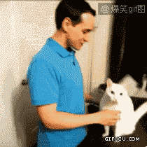 温馨的小猫主动和主人亲吻：主人这么辛苦，来抱抱…….gif(点击浏览下一张趣图)