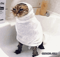 裹着浴巾要洗澡的小猫：偶真心讨厌洗澡.gif(点击浏览下一张趣图)