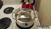 喜欢玩耍的小猫躲在锅里：主银，我藏在这，你都能找到呀～.gif(点击浏览下一张趣图)