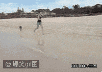 拉风的美女带着袋鼠在海边散步(点击浏览下一张趣图)