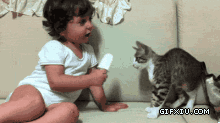 搞笑的外国宝宝和猫咪吃冰激凌”你一口我一口，我们都是好朋友.gif(点击浏览下一张趣图)