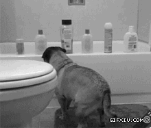 搞笑狗狗太讨厌洗澡了(点击浏览下一张趣图)