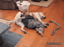 搞笑的小孩和狗狗睡觉还分工按摩(点击浏览下一张趣图)