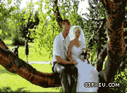 尼玛结婚在树上接吻不掉下去才怪(点击浏览下一张趣图)