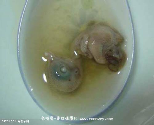 这些恐怖的食物你敢吃吗(11)(点击浏览下一张趣图)