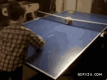 这小猫咪打乒乓球的技术确实不错啊(点击浏览下一张趣图)