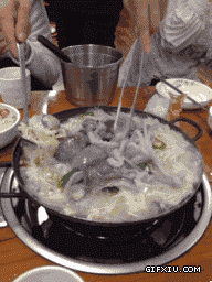 上海人吃活章鱼火锅了(点击浏览下一张趣图)