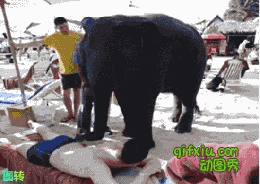 让大象帮按摩绝对是一件需要勇气的事情啊(点击浏览下一张趣图)
