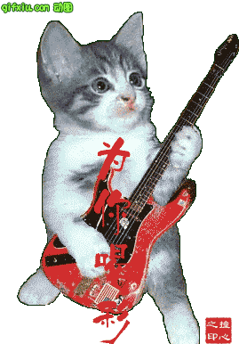 小猫弹吉他：为你喝彩！(点击浏览下一张趣图)