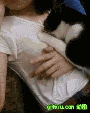 90后美女咪咪为自己的宠物猫咪哺乳乱摸(点击浏览下一张趣图)
