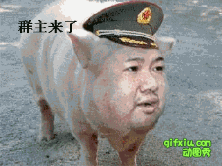猪头版群猪：群猪来了(点击浏览下一张趣图)