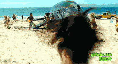 还有节操吗？这么大的一头鲸被一个男人扔了(点击浏览下一张趣图)