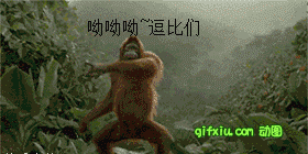 呦呦呦~~逗比们~~快乐的猴子手舞足蹈好逗比~~(点击浏览下一张趣图)