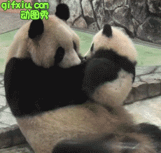搞笑的熊猫妈妈抱着可爱的熊猫宝宝好有爱啊(点击浏览下一张趣图)
